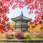 Tham khảo kinh nghiệm du lịch Hàn Quốc mùa thu cần thiết nhất