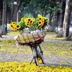 Kinh nghiệm du lịch mùa thu, khám phá những điểm đến hấp dẫn trong nước