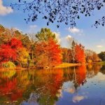 Tham khảo kinh nghiệm du lịch Thổ Nhĩ Kỳ mùa thu cực hữu ích cho bạn