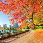 Tham khảo kinh nghiệm chuẩn bị cho chuyến du lịch Canada mùa thu