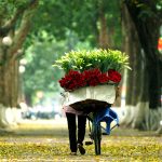 Tham khảo kinh nghiệm du lịch Hà Nội mùa thu với những điều đặc biệt