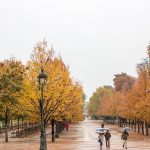 Tổng hợp những kinh nghiệm du lịch Pháp mùa thu từ A – Z