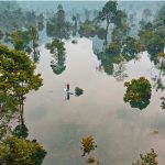 Tổng hợp những kinh nghiệm du lịch Quảng Bình mùa thu tuyệt đẹp