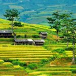 Chia sẻ kinh nghiệm du lịch mùa thu, top 5 tọa độ phía Bắc vạn người mê