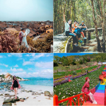 Du lịch mùa thu trong nước không thể bỏ qua Đà Lạt,Hà Nội, Sapa……