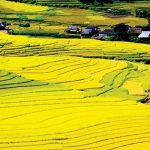 Kinh nghiệm du lịch Điện Biên mùa thu cùng những điểm đến hấp dẫn