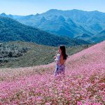 Tham khảo kinh nghiệm du lịch Hà Giang Mùa Thu hữu ích dành cho du khách