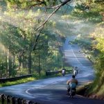 Chia sẻ kinh nghiệm du lịch Đà Lạt chi tiết dành cho người mới đi lần đầu