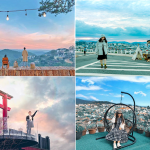 Du lịch Đà Lạt khám phá những cánh rừng thông đại ngàn, những vườn hoa Đà Lạt…