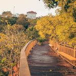 Tổng hợp những tọa độ du lịch Đà Lạt hot nhất 2022