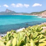 Du lịch Côn Đảo tự túc có đắt không? Chi phí khoảng bao nhiêu?