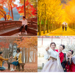 Du lịch Hàn Quốc Tết âm lịch vô cùng xinh đẹp