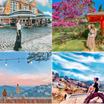 Du lịch Đà Lạt tết thành phố mộng mơ,lãng mạn