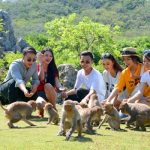 Du lịch Nha Trang đến với đảo Khỉ với những trải nghiệm mới lạ