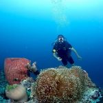 Đảo Bunaken – thiên đường lặn biển lý tưởng trong tour du lịch Indonesia