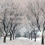 Những trải nghiệm hấp dẫn cho du khách du lịch Hàn Quốc vào mùa đông