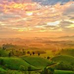 Check in 6 địa điểm nổi tiếng khi đi du lịch Phú Thọ tự túc mùa hè