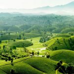 Chia sẻ kinh nghiệm du lịch Phú Thọ tự túc giá rẻ cho người mới