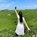 Khám phá chuyến du lịch hè Mộc Châu tự túc chi phí ra sao?