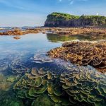 Bí kíp du lịch Quảng Ngãi tự túc đầy đủ và tiết kiệm nhất