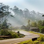 Du lịch Đà Lạt mùa hè tự túc có điều gì thú vị hấp dẫn du khách