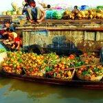 Đâu là điểm đến thú vị nhất trong tour du lịch Cần Thơ tự túc mùa hè?