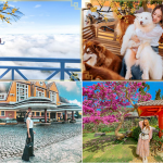 Du lịch Đà Lạt khám phá phố núi Đà Lạt 2023