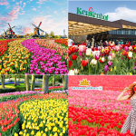 Du lịch Hà Lan độc đáo bạn nên đến