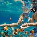 Những trải nghiệm và những món ăn ngon hấp dẫn khi đến du lịch Côn Đảo