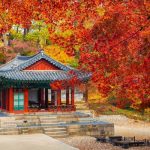 Check in cung điện Changdeok – địa điểm du lịch Hàn Quốc nổi tiếng