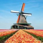 Chiêm ngưỡng vẻ đẹp lãng mạn của vườn hoa Keukenhof khi du lịch Hà Lan