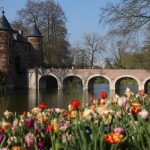 Hòa mình vào lễ hội hoa Floralia Brussels sắc màu khi du lịch Bỉ