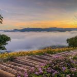 Lưu lại ngay 6 tọa độ săn mây cực chill khi đi tour du lịch Đà Lạt