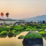 Rạn Nam Ô – địa điểm check in cực chất của mọi khách du lịch Đà Nẵng