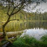 Du lịch Đức, khám phá vẻ đẹp ma mị của khu rừng Đen huyền bí