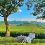 Check in 20 địa điểm du lịch Sơn La níu kéo du khách gần xa