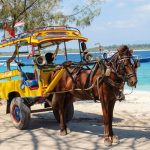 Khám phá vẻ đẹp mê mẩn của quần đảo Gili khi du lịch Indonesia