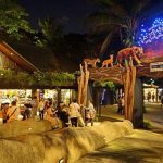 Du lịch Singapore, khám phá vườn thú đêm Night Safari có gì thú vị?
