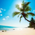 Đi tour du lịch Hòn Mun tự túc 1 ngày nên chuẩn bị những gì?