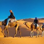 Khám phá top 22 địa điểm du lịch Dubai nổi tiếng không thể bỏ lỡ