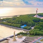 Trải nghiệm văn hóa độc đáo khi đi tour Cà Mau 1 ngày