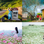 Du lịch Miền Bắc tết ấn tượng sâu sắc