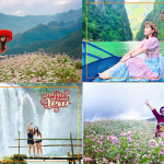 Mua tour Miền Bắc du lịch tết Giáp Thìn