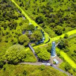 Rừng quốc gia U Minh Hạ – Vẻ đẹp thiên nhiên trù phú