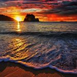 Trọn bộ kinh nghiệm khám phá du lịch Hòn Đồi Mồi Phú Quốc chi tiết