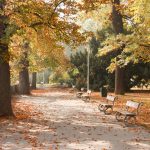 Dulichviet giới thiệu mùa Du lịch Châu Âu 2024 không nên bỏ lỡ