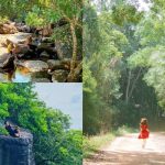 Khám phá hệ sinh thái đa dạng tuyệt đẹp tại vườn Quốc Gia Phú Quốc