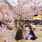 Tổng hợp 7 lễ hội đặc sắc mà khách du lịch Nhật Bản không thể bỏ lỡ