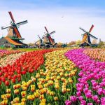 Đi tour du lịch Hà Lan cần chuẩn bị những gì?