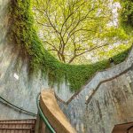 Check-in thiên đường sống ảo tại Fort Canning Park khi du lịch Singapore